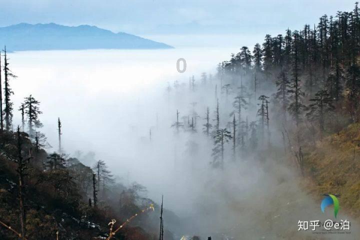 战斗机的反击