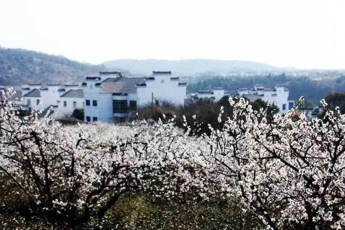 被人无缘无故打了能叫他陪多少游戏画面